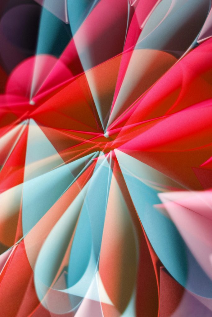 pexels diva 34866763