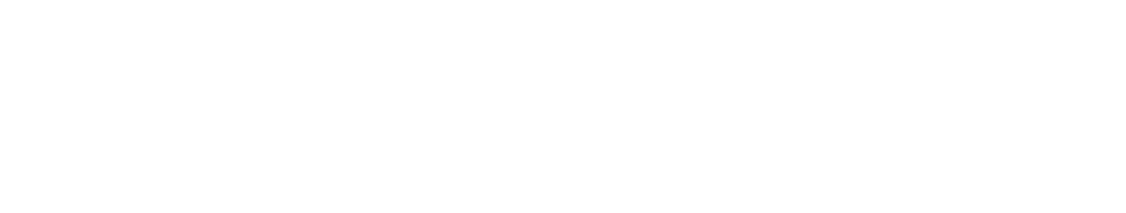 newcross group logo white web